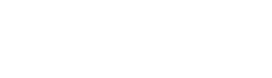 Logotyp SlovakStartup